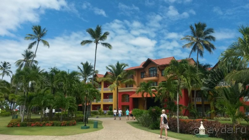 доминикана