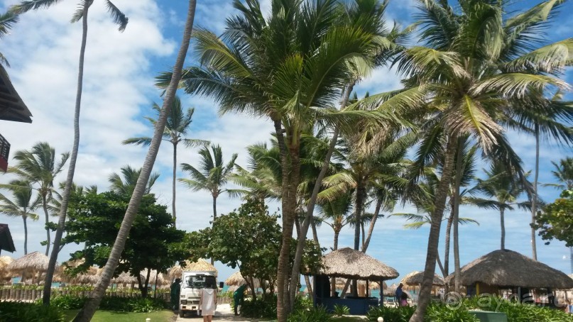 доминикана