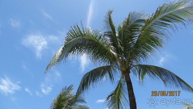 доминикана