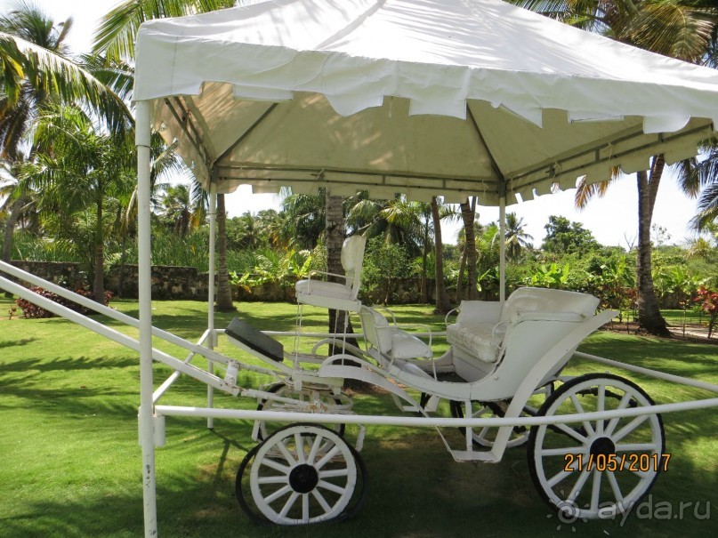 доминикана