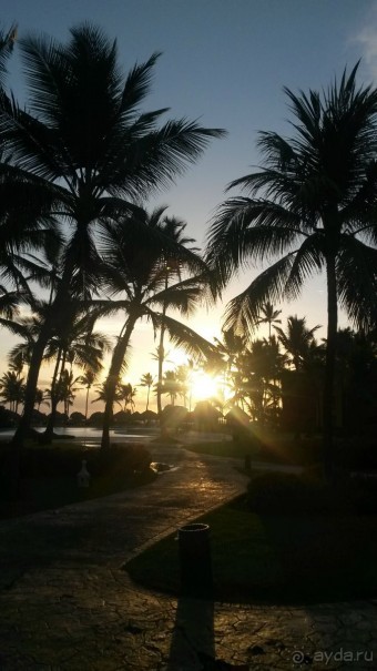 доминикана