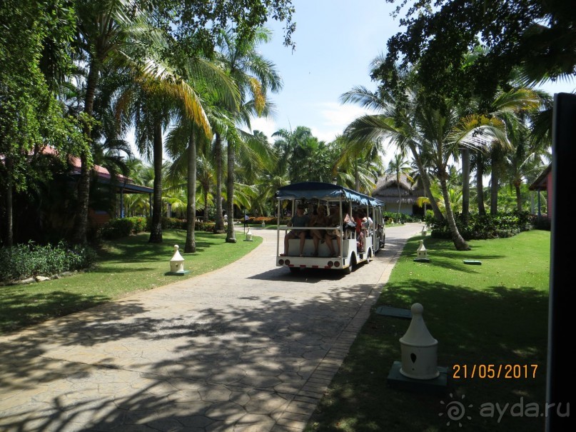 доминикана