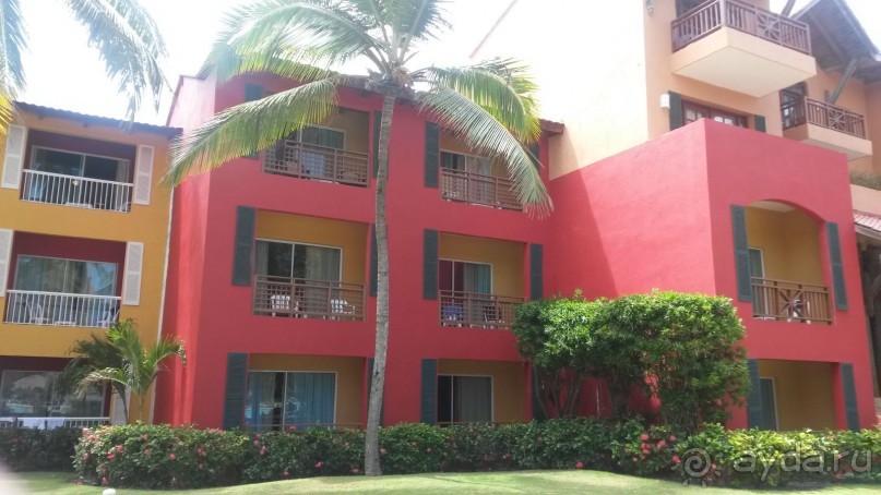 доминикана