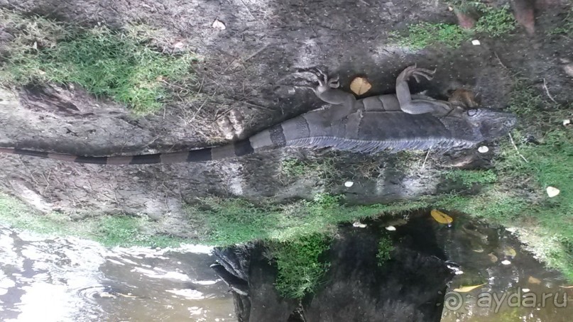 фото Пунта Каны