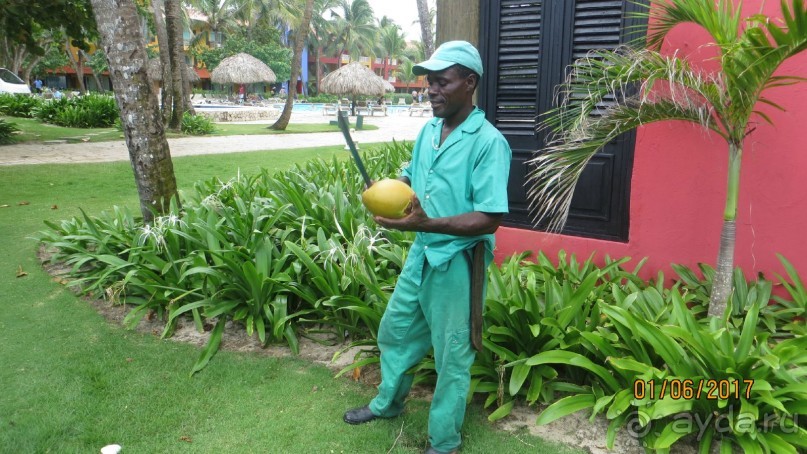 доминикана