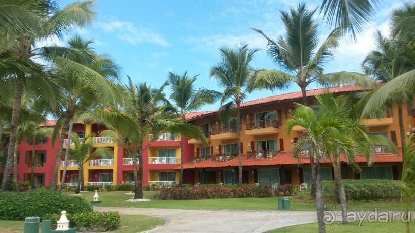 доминикана