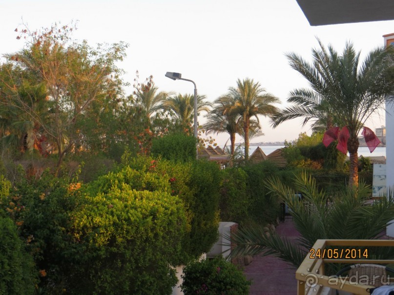 фото Gafy Resort 