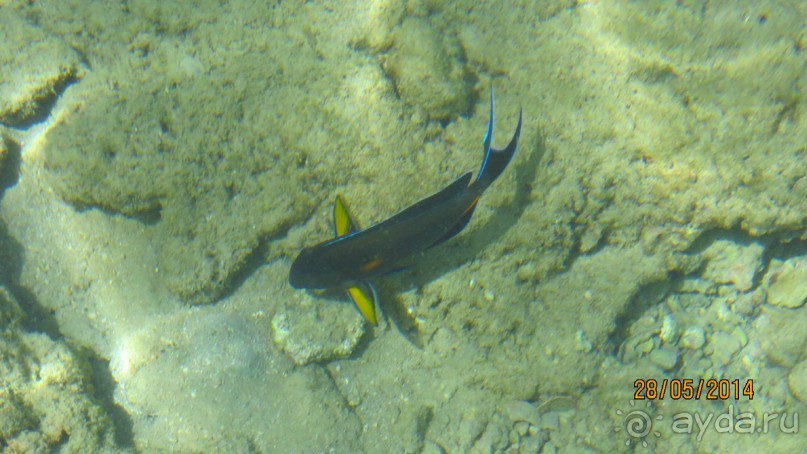 отель на 4 с замечательным  пляжем в бухте