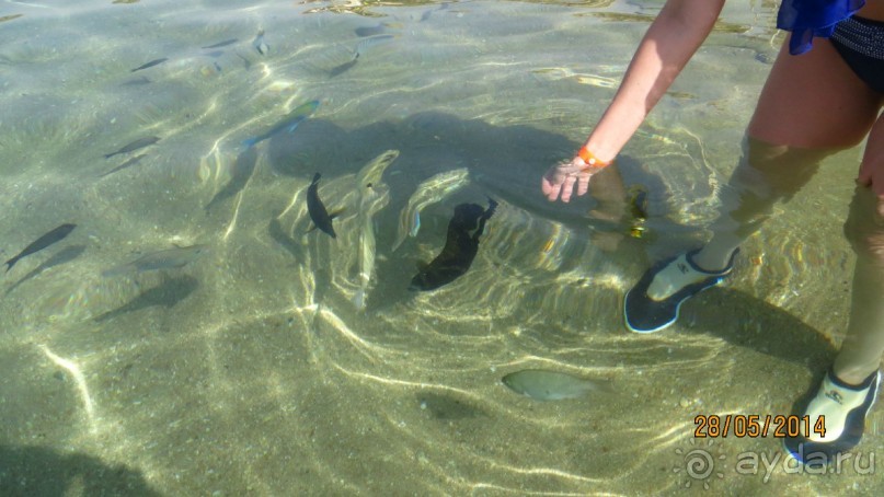 отель на 4 с замечательным  пляжем в бухте