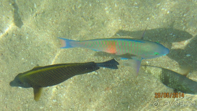 отель на 4 с замечательным  пляжем в бухте