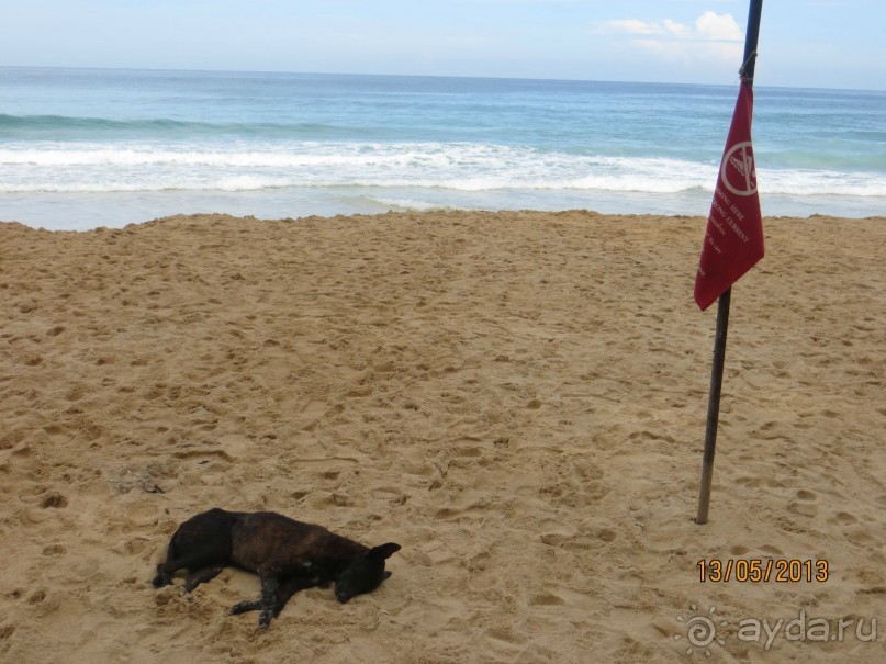 Отель для релакса в тихой деревушке