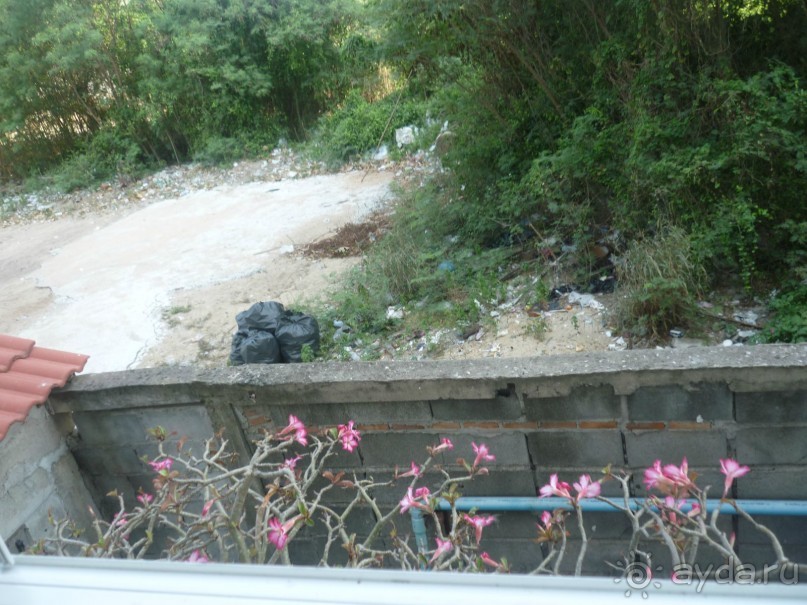 фото Swan Beach Resort