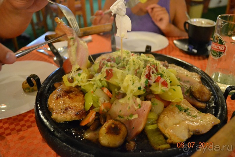 фото Чайка Бич