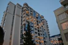 фото Чайка Бич