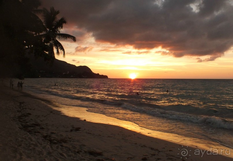 Oтдохнуть и вкусить экзотики!