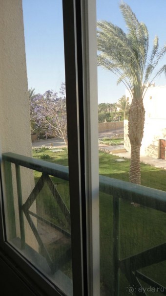 Очень жаль, что не поверила отрицательным отзывам...Подумала, что быть не может...