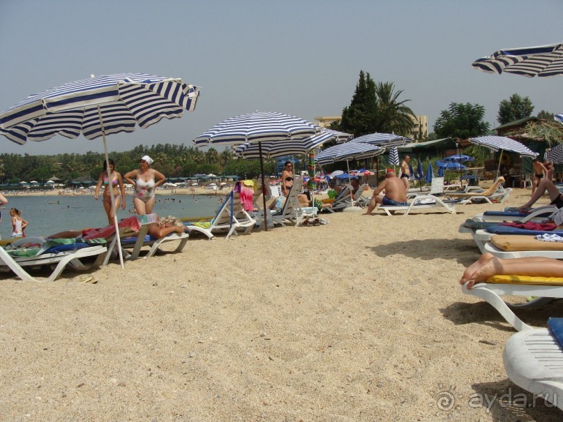 Очень хорошо