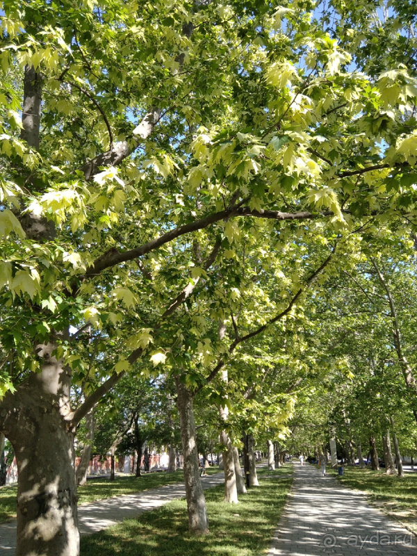 Часть 5. Достопримечательности Феодосии