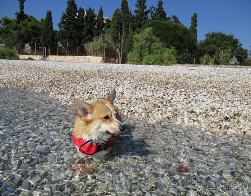 Греческая "кругосветка". Пелопоннес. Посёлок Истмия.