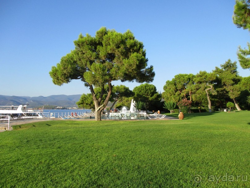 Греческая "кругосветка". Пелопоннес. Посёлок Истмия.