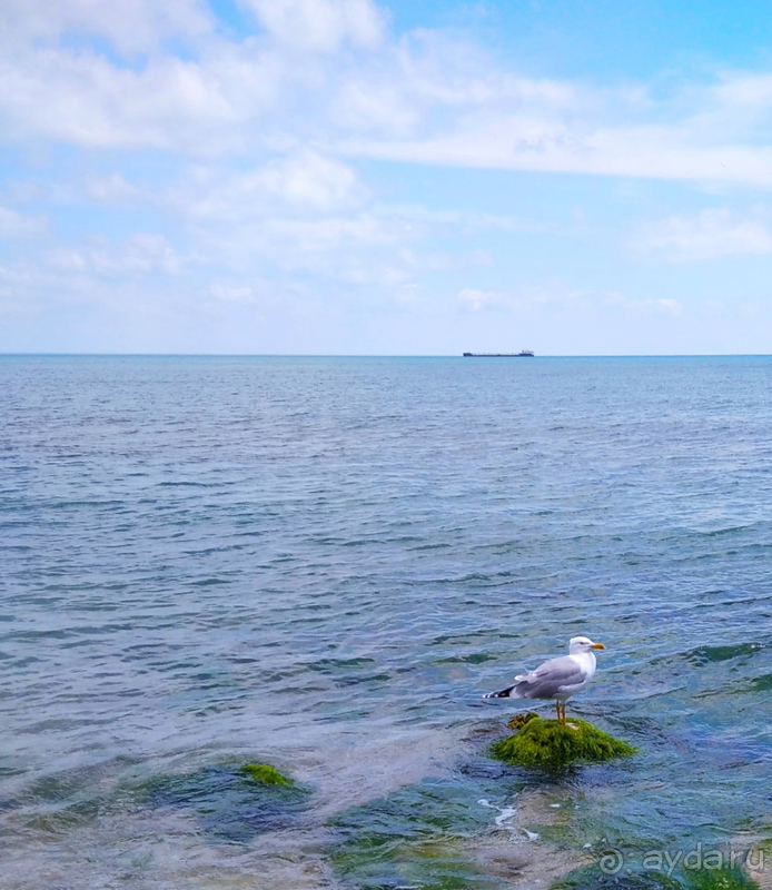 Часть 8. Пляжи Феодосии