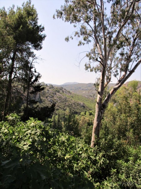 Греческая  "кругосветка". Современные Афины. Озеро Марафон.