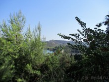 Греческая  "кругосветка". Современные Афины. Озеро Марафон.