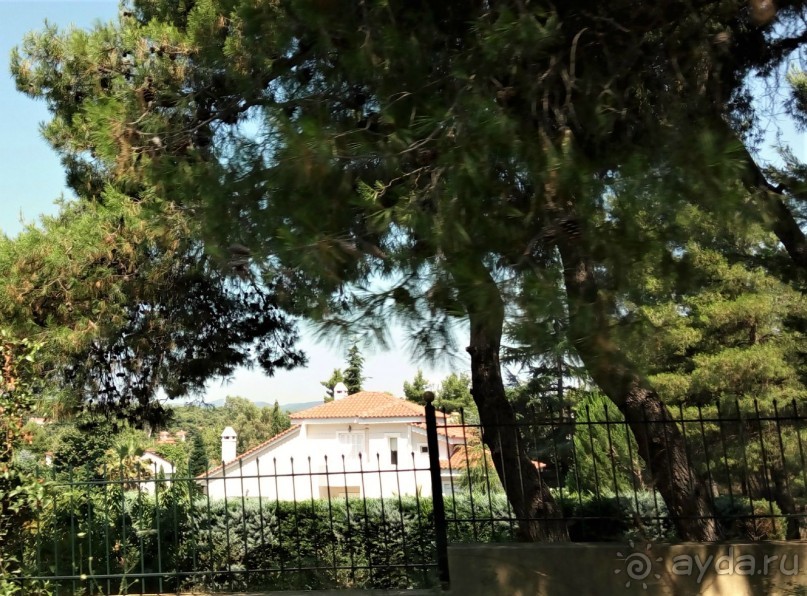 Греческая  "кругосветка". Современные Афины. Озеро Марафон.