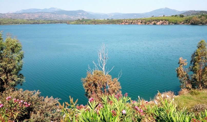 Греческая  "кругосветка". Современные Афины. Озеро Марафон.