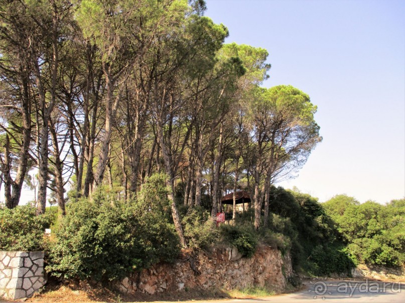 Греческая  "кругосветка". Современные Афины. Озеро Марафон.