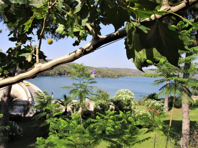 Греческая  "кругосветка". Современные Афины. Озеро Марафон.