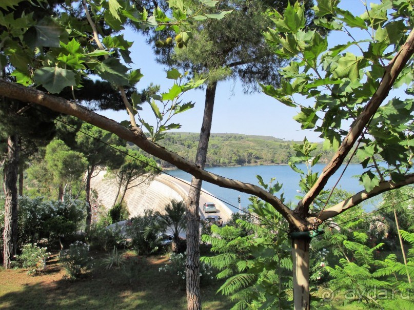 Греческая  "кругосветка". Современные Афины. Озеро Марафон.