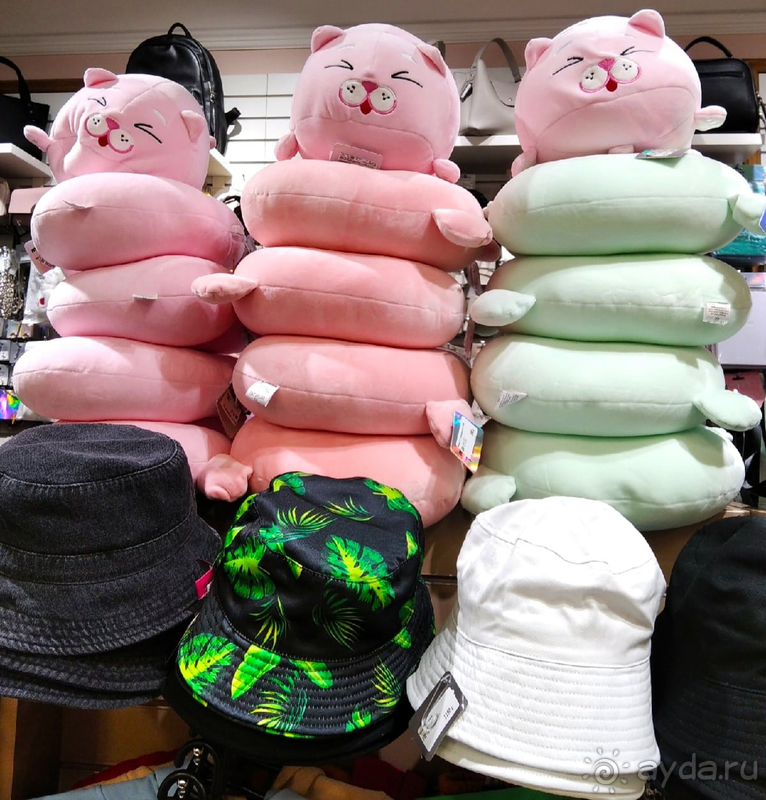 Часть 2. Богом данная