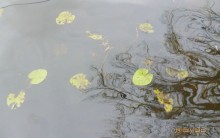 Путешествие по Казани. Раифский монастырь.