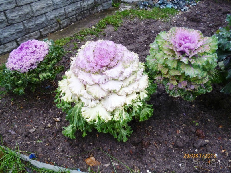 Путешествие по Казани. Раифский монастырь.