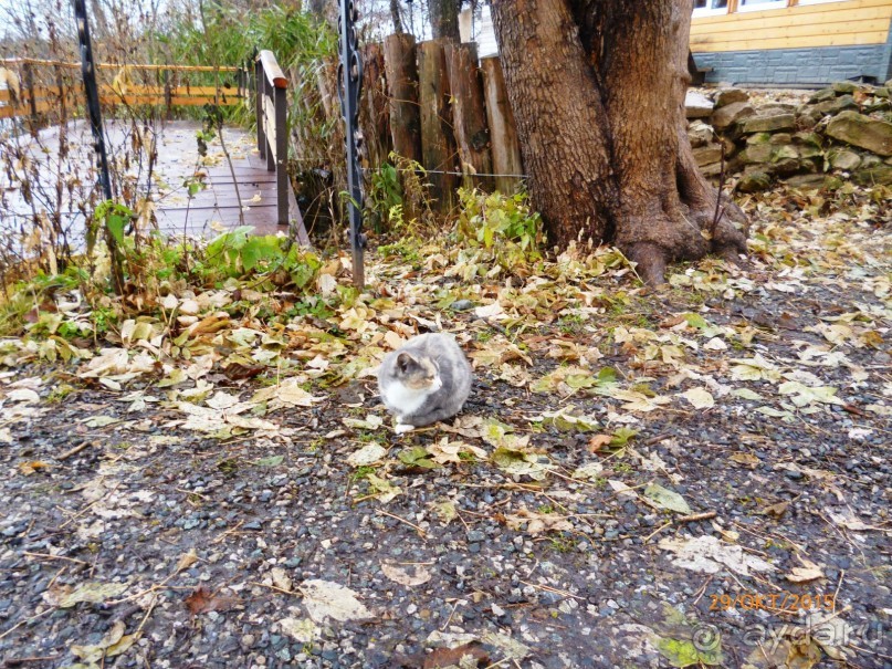 Путешествие по Казани. Раифский монастырь.