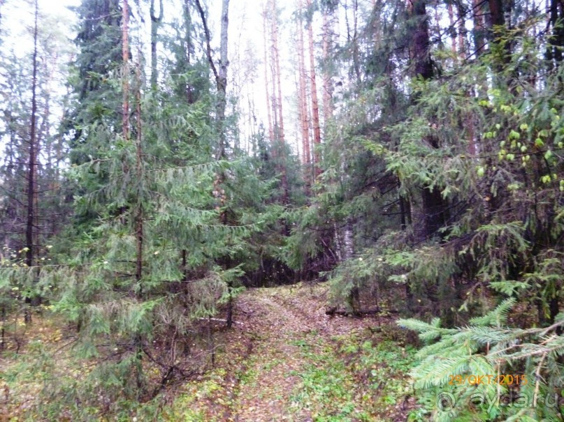 Путешествие по Казани. Раифский монастырь.