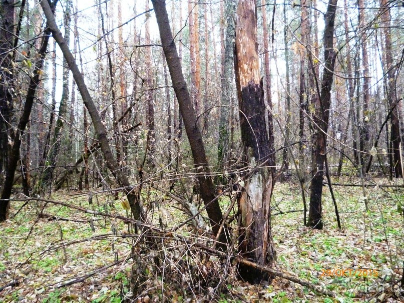 Путешествие по Казани. Раифский монастырь.
