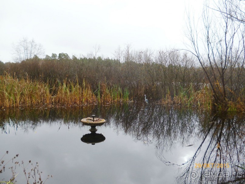 Путешествие по Казани. Раифский монастырь.
