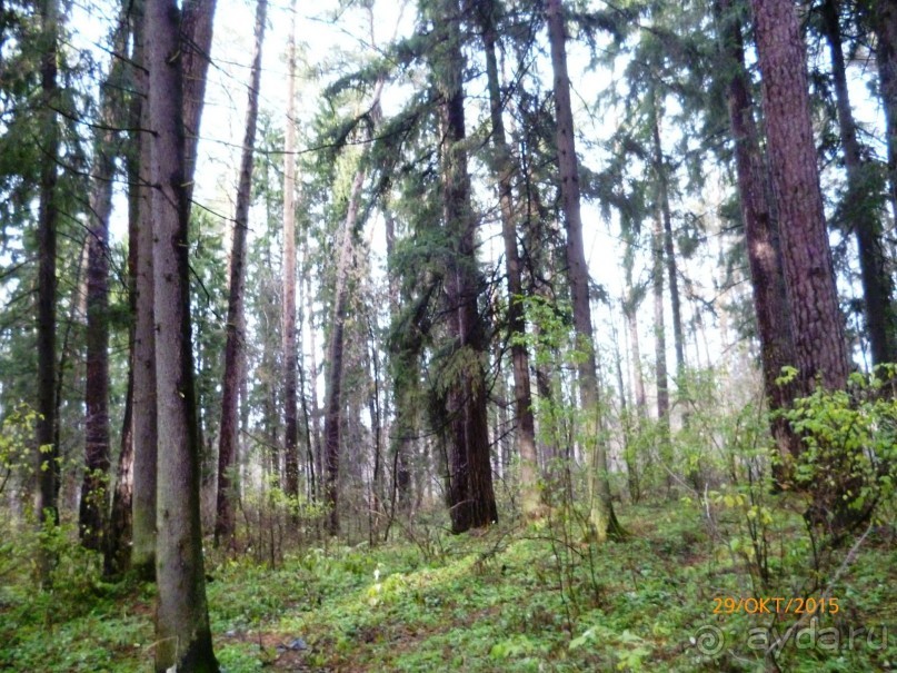 Путешествие по Казани. Раифский монастырь.