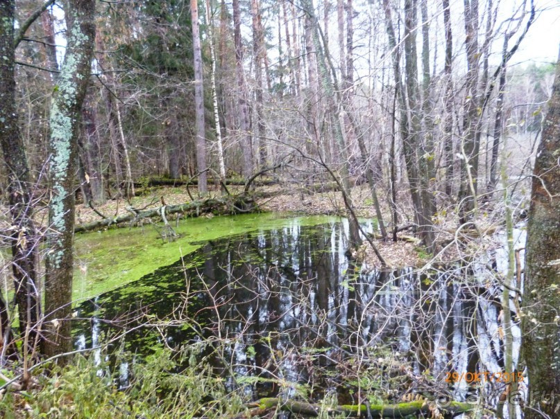 Путешествие по Казани. Раифский монастырь.