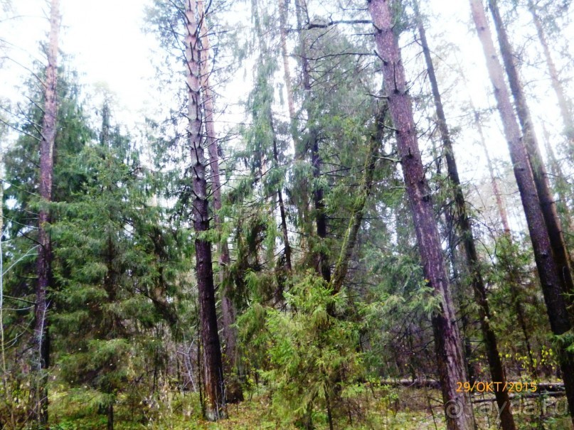 Путешествие по Казани. Раифский монастырь.