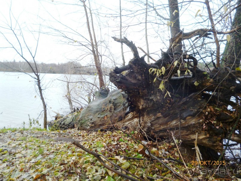 Путешествие по Казани. Раифский монастырь.