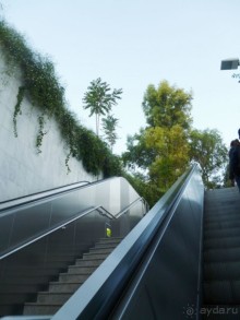 Семь корешков одного билета* или День  рождения на земле древней Эллады