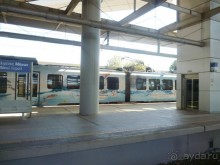 Семь корешков одного билета* или День  рождения на земле древней Эллады