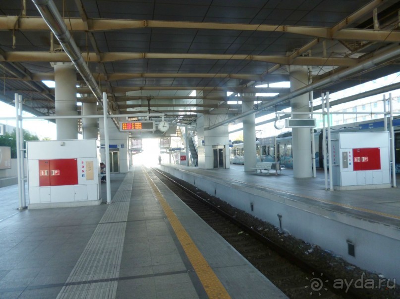 Семь корешков одного билета* или День  рождения на земле древней Эллады