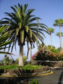 Тенерифская сказка. Часть 1 "Карнавал солнечного света"