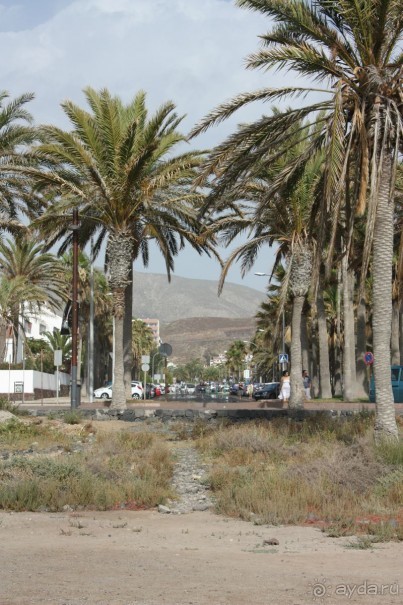 Все дороги ведут к океану