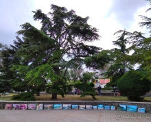 Часть 7. Народное творчество феодосийцев