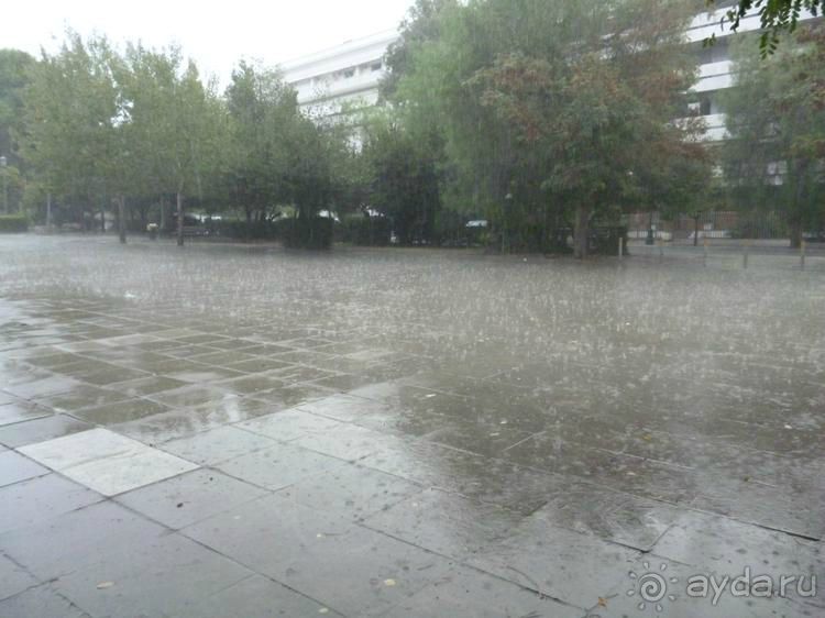 X. Семь корешков одного билета. Храм Зевса Олимпийского